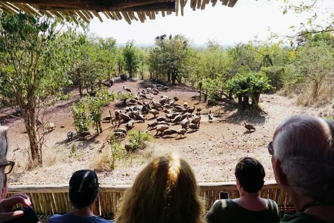 4x4 Safari in Victoria Falls National Park *Small Group-Limited* - Good To Know