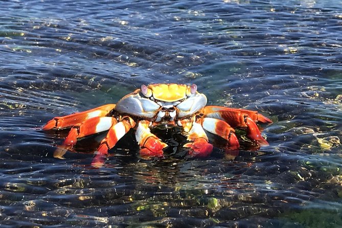5 Day Galapagos Island Hopping Classic - Good To Know