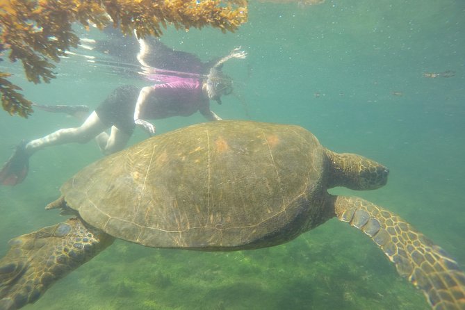 5-Day Galapagos MultiAdventure Diving and Hiking - Good To Know