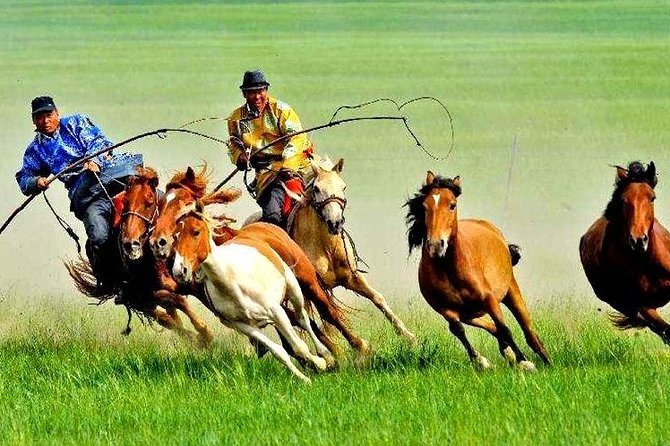 5-Day Hulunbuir Private Tour Combo Package of Grassland and Wetland With Hotel - Good To Know