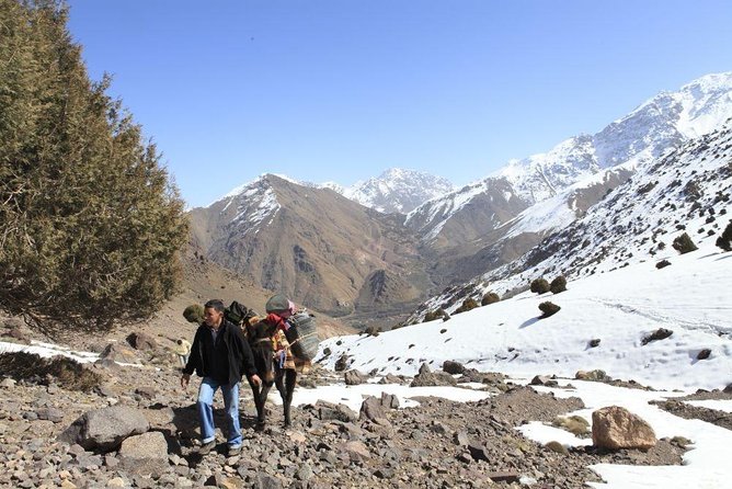 5-Day Mount Toubkal Ascent Trekking Tour From Marrakech - Good To Know