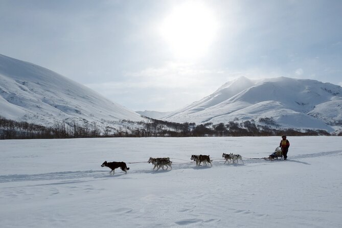 5-Day Private Norway Arctic Adventure in Norway - Northern Lights - Good To Know