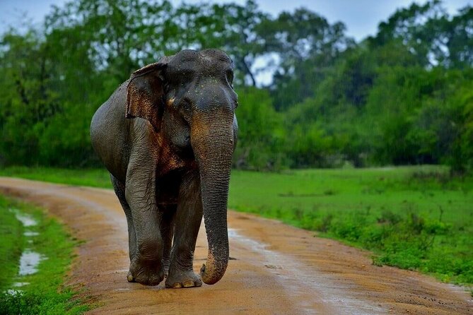 5 Days 4 Nights Exotic Sri Lanka - Good To Know