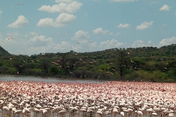5 Days Lake Mnayara – Serengeti – Ngorongoro – Tarangire Camping Group Safari