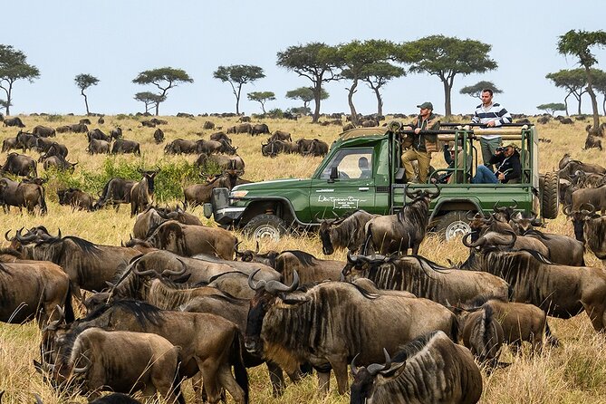 5 Days Maasai Mara And Riftvalley Lakes Safaris - Good To Know