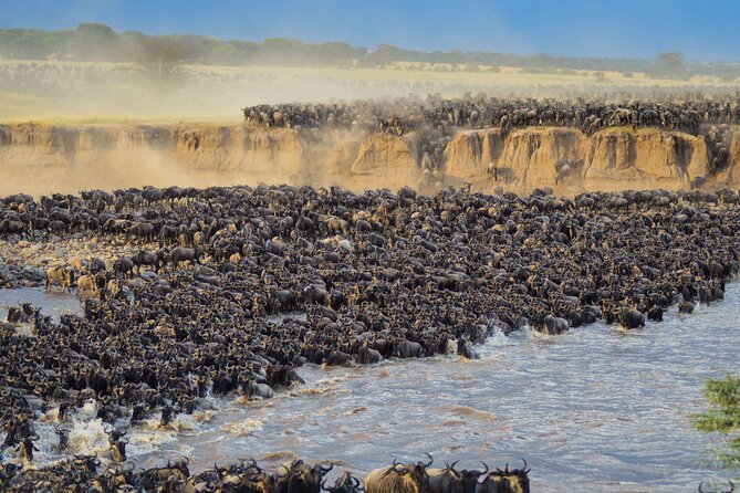 5 Days Mara River Crossing Wildebeest Migration in Serengeti - Good To Know