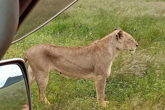 5 Days Migration Safari