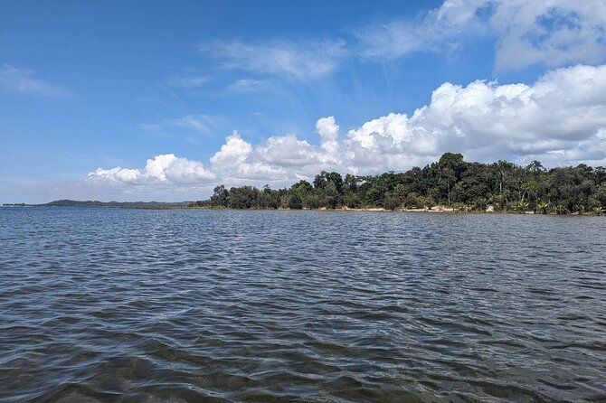 5 Days Private Tour to Lemurs Island - Good To Know
