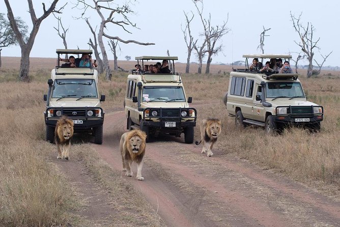5 Days Safari – SELOUS & ZANZIBAR - Good To Know