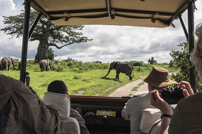 5 Days Wildlife Adventure - Mombasa - Good To Know