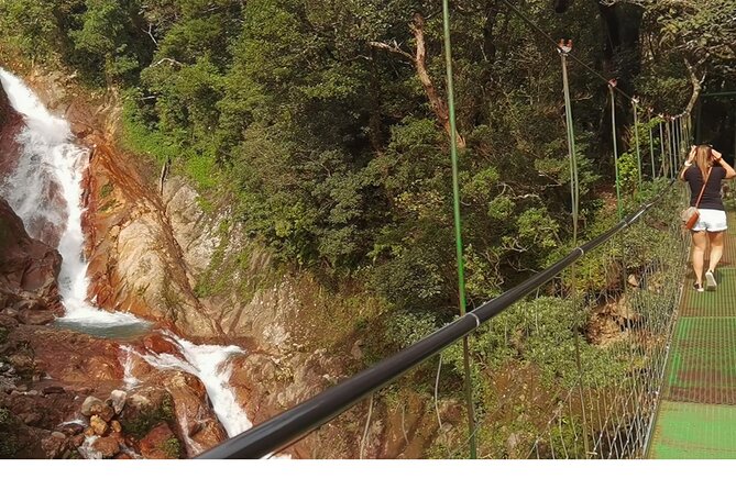 5 in 1 Sloth, Rainforest, Waterfalls, Hanging Bridges, Volcanic Activity Tour. - Good To Know