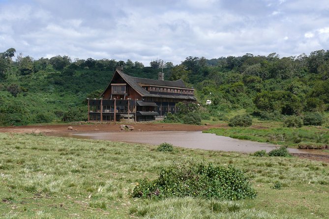 1-Day Aberdare Safari - Pricing and Booking Options