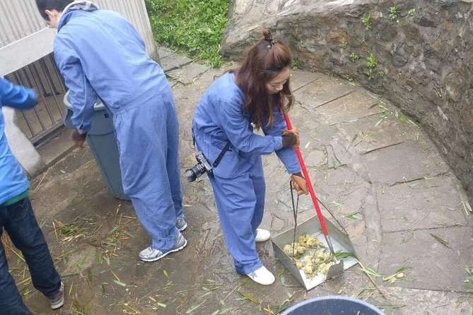 1-Day Dujiangyan Tour: Panda Volunteer Program and Mount Qingcheng - Price and Booking