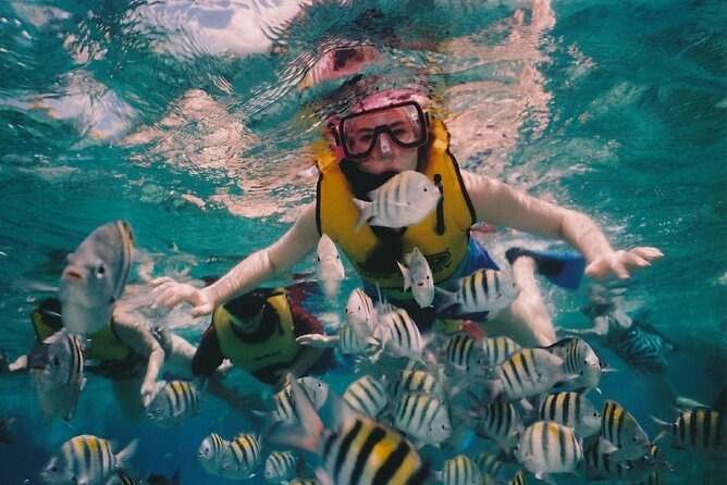 1 DAY Enjoy Lembongan Island! Snorkeling + Mangrove Exploration + Sightseeing on the Island Such as the Scenic Spot Devils Tears / Marine Sports Enjoyment Banana Boat / Transfer Included - Cancellation Policy
