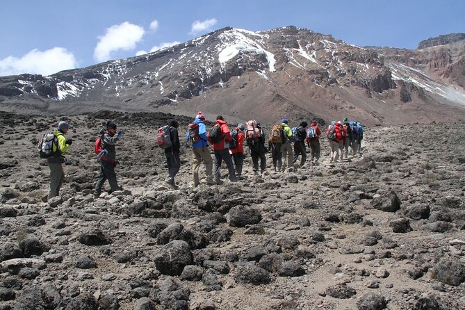 1-Day Hike - Mount Kilimanjaro - Booking Information