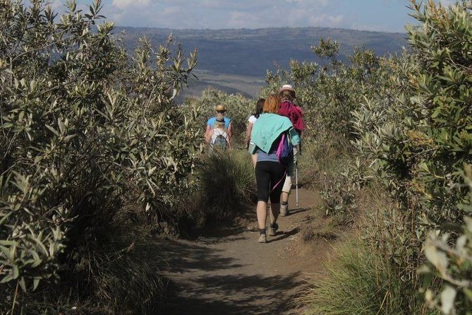 1 Day Hike to Mount Longonot - Pickup Information