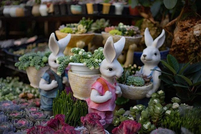 1-Day Kunming Tour With the Green Lake,Bird & Flower Market and Yuantong Temple - Pricing and Booking Details