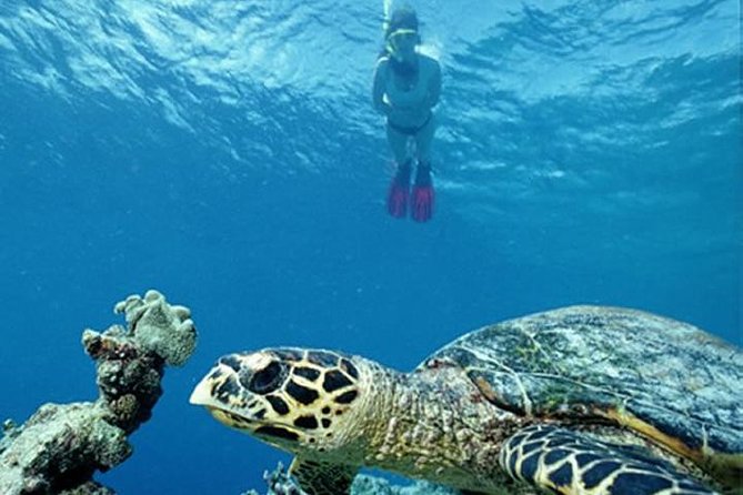 1 Day Malindi Day Tour (Minimum 2 Pax) - Booking Confirmation and Accessibility