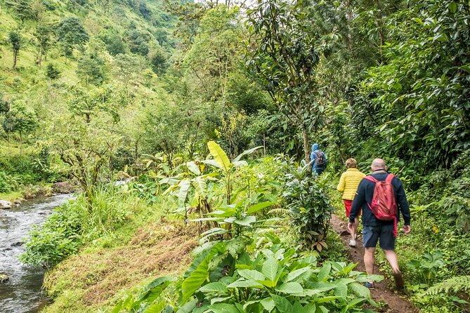 1 Day Private Materuni Village, Waterfalls - Pricing Information