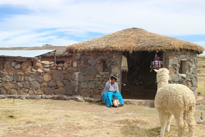 1-Day Sun Island Tour Copacabana From Puno - Frequently Asked Questions