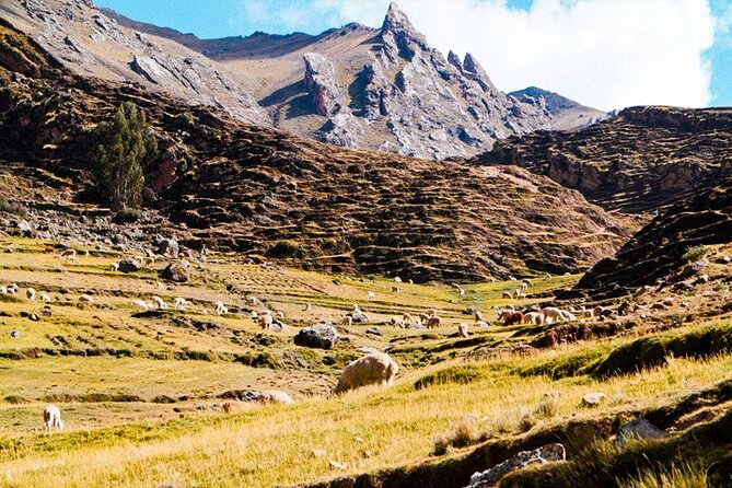 1 Day Tour to Palcoyo Mountain and 4 Lagoons - Private Service - Important Information