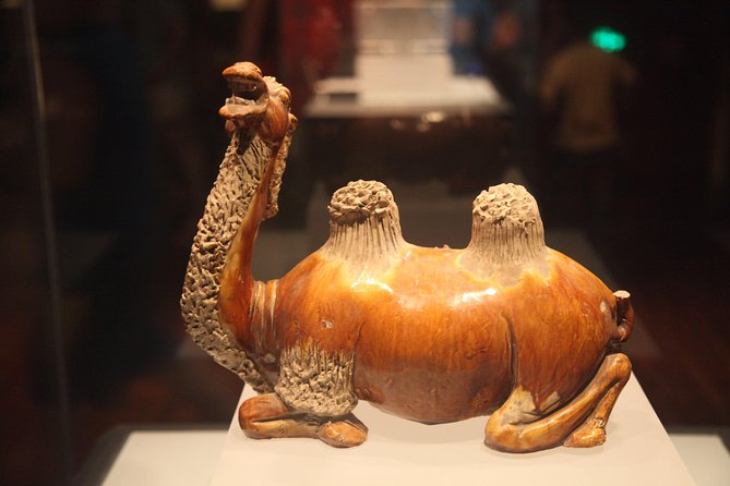 1-Day Xian Tour With Wild Goose Pagoda, Shaanxi History Museum and City Wall - Lunch Break