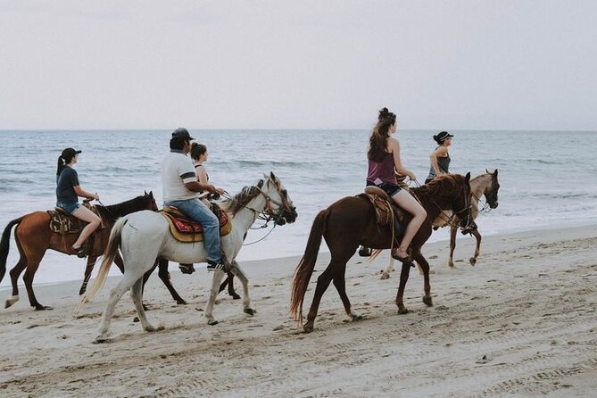 1-Hour Horse Ride Adventure in Sharm El-Sheikh - Booking Flexibility