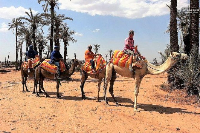 1 Hour Riding Camel in Palmeraie Marrakech, Ride Camel in Palmeraie Marrakech - Cancellation Policy