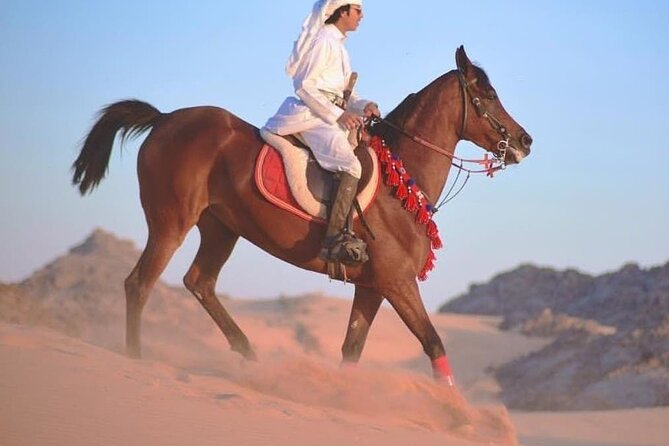 1 Hour Turkish Bath and 1 Hour Horse Riding in Sharm El Sheikh - Pricing and Booking Information