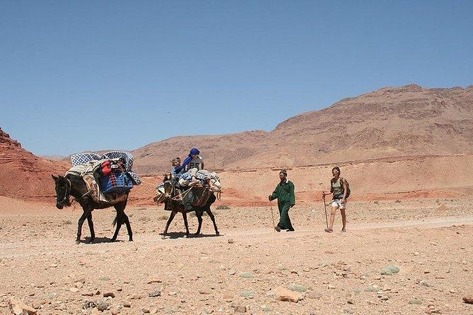 1 Night Nomadic Hike in Todra Gorge - Aventures Verticales Maroc - Logistics and Recommendations
