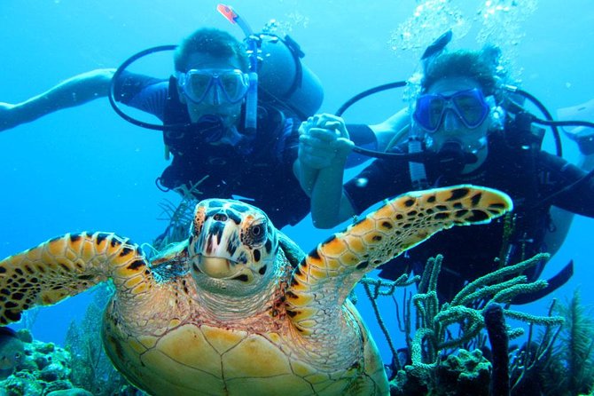 1 Tank Fun Dive From West Side of Island Including Ground Transportation - Frequently Asked Questions