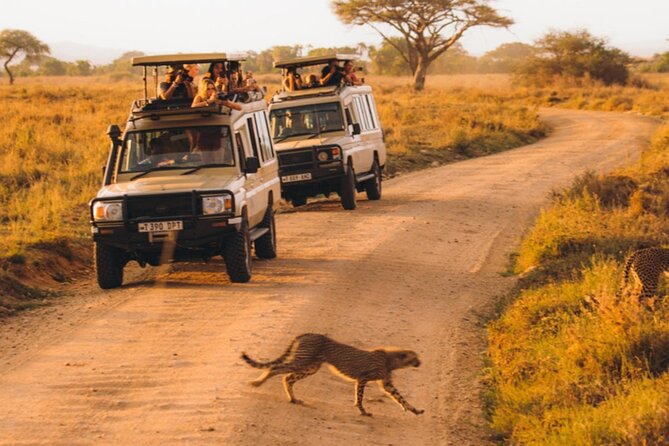10-Days Private Luxury Safari: Serengeti, Ngorongoro & Materuni - Meet-Up and Pickup Details