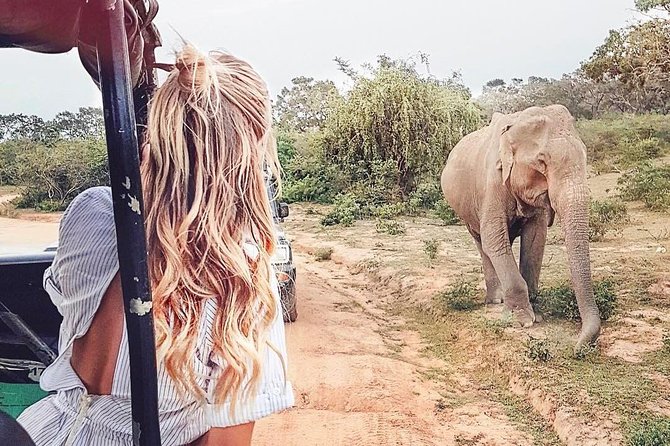 10 Days Ramayana Trails - Day 6: Discover Panchavati