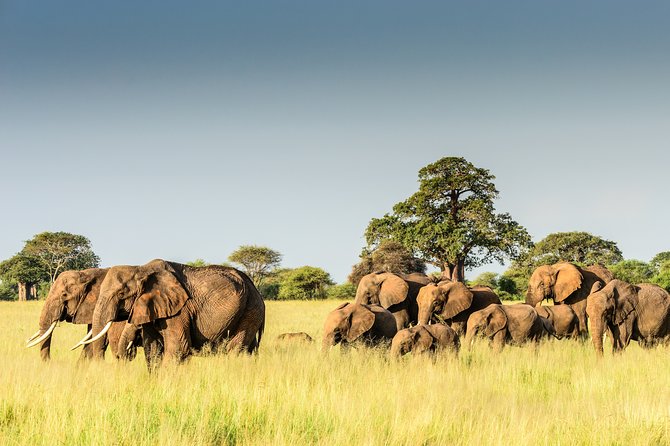 10 Days Southern Comfort Tour - Cancellation Policy