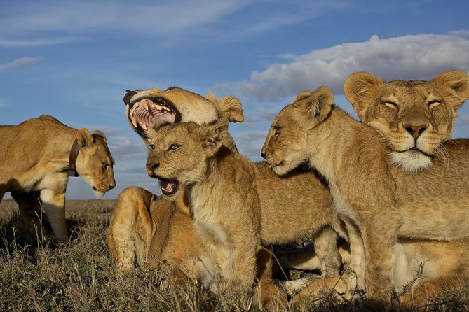 11 Days / 10 Night Private Group Safari - Booking Information
