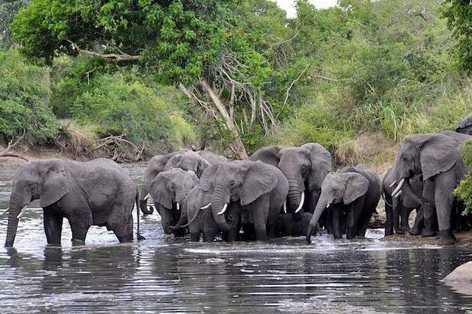 11 Days / 10 Nights Join Group Safari - What To Expect During Safari