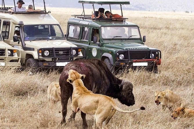 11 Days Best of Kenya & Tanzania Big 5 Safari on 4x4 Jeep - Pickup and Drop-off Information