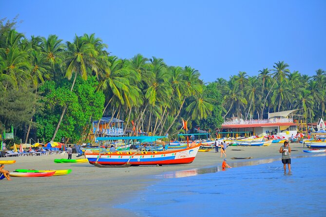11 Days Private Transport Golden Triangle Tour With Goa - Additional Information