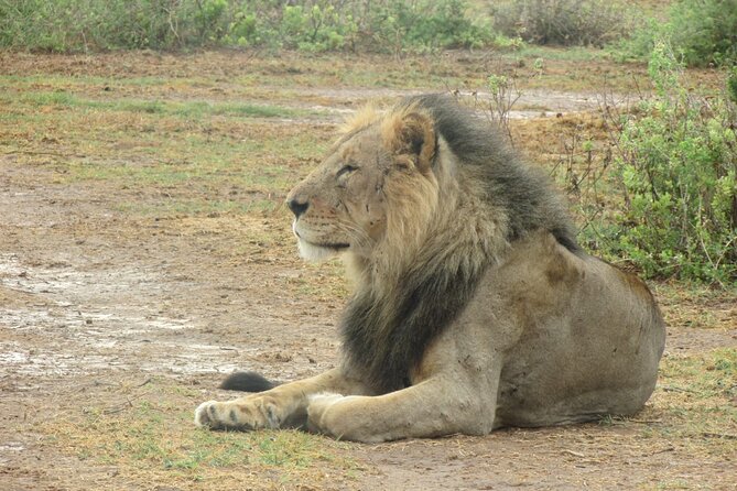 11 Days Vegans Private Safari - Private Safari Benefits