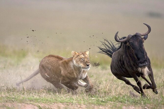 12-Day Private Tanzania Safari - Packing Tips