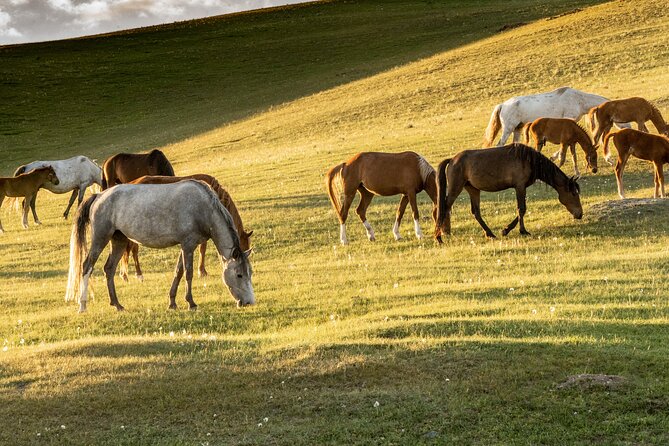 12-Days Horseback Riding Tour in a Small Group in Kyrgyzstan - Cancellation Policy and Price