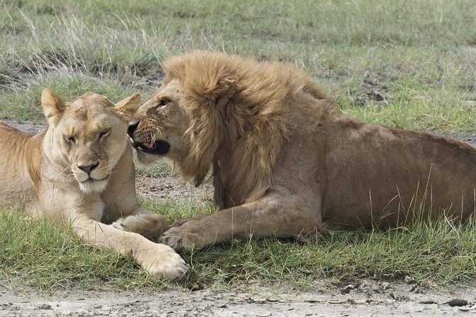 12 Days Tanzania Trip Kilimanjaro Lemosho Trek and Safari Combo - Additional Information