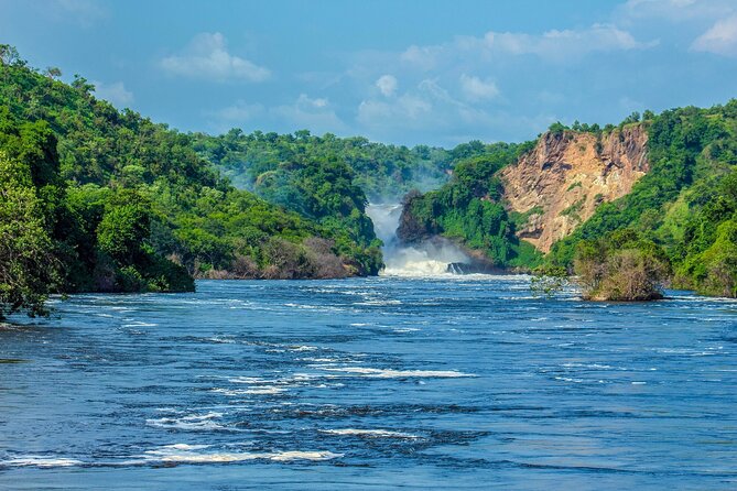 13-Day Wildlife and Gorilla Trekking Safari - Tour Inclusions