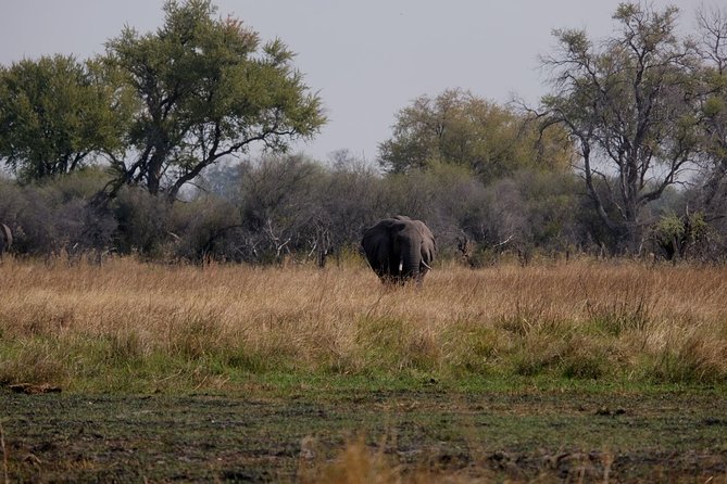 14 Day Elephant Tracking Botswana - Booking Information