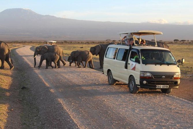14-DAY Volunteer Orphanage Masai Mara and Lake Nakuru Safari From Nairobi - Cultural Excursions Schedule