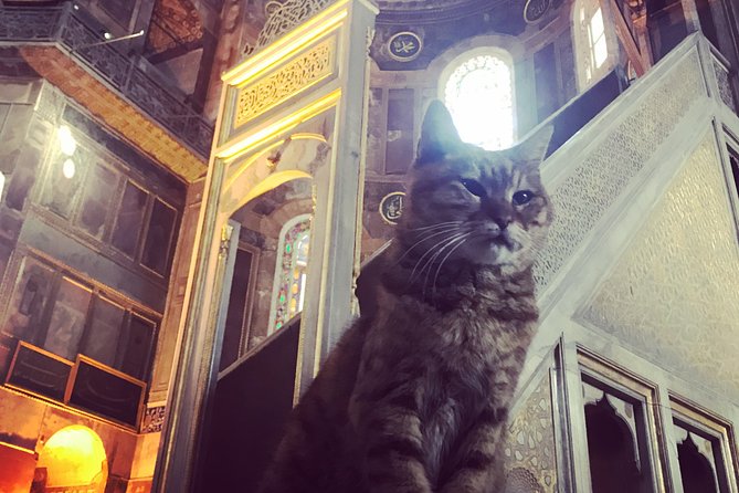 14 Days, Seven Wonders of Turkey Private Tour From Istanbul - What To Expect