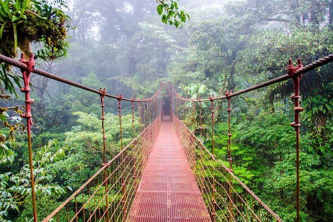 15 Days Beaches and Nature With Tambor, Self-Drive From Liberia - Car Hire Terms and Conditions
