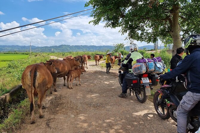 15 Days Motorbike Tour From Saigon to Hanoi - Meals and Dining Experience