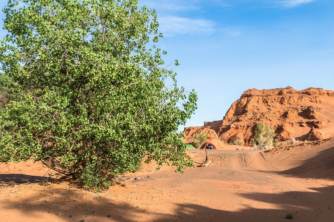 16 Days From Desert to Steppe - Important Reminders
