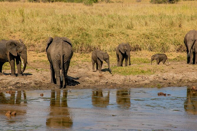 2-Day Fly-In From Zanzibar to Tarangire NP Mid Range Safari - Cancellation Policy Terms